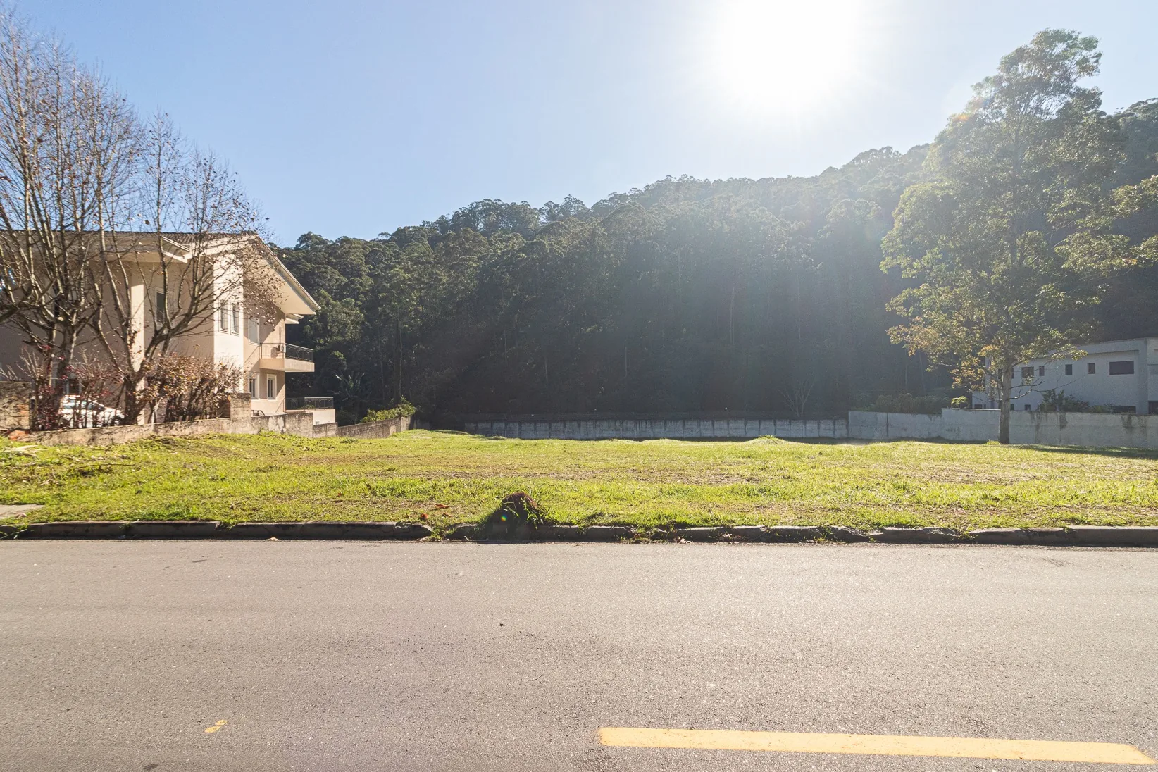 Terreno no Tamboré 1 visto a partir da rua, com área verde ao fundo